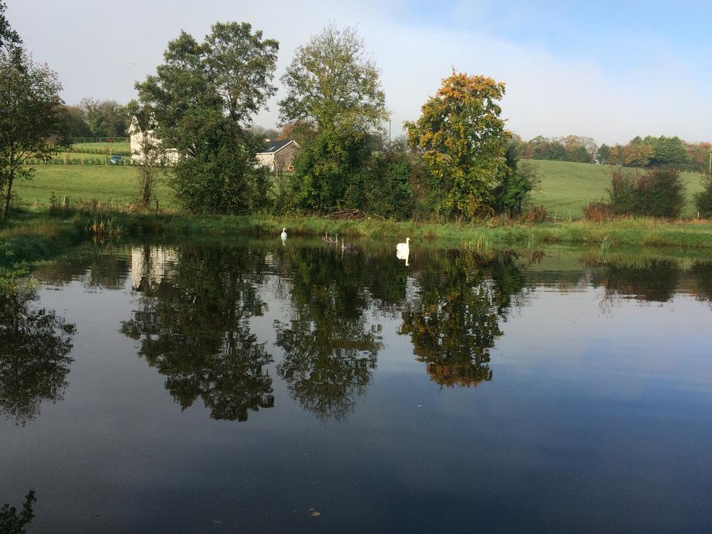 Ashbrook House Apartments Dungannon Εξωτερικό φωτογραφία
