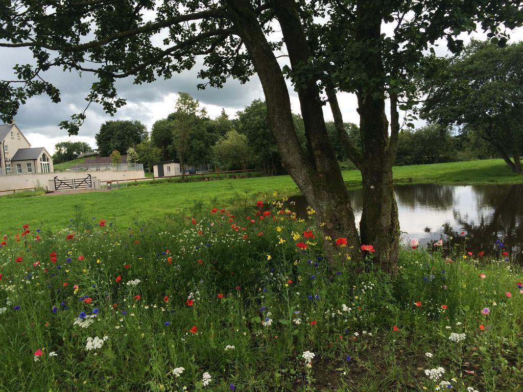 Ashbrook House Apartments Dungannon Εξωτερικό φωτογραφία